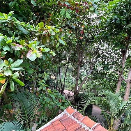 New Roy Guest House Kalkudah (Batticaloa) Exterior foto