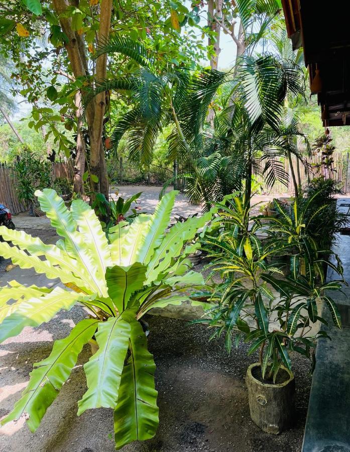 New Roy Guest House Kalkudah (Batticaloa) Exterior foto