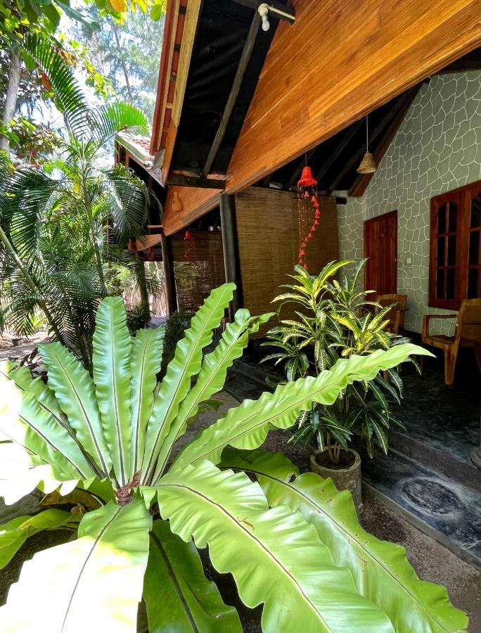 New Roy Guest House Kalkudah (Batticaloa) Exterior foto