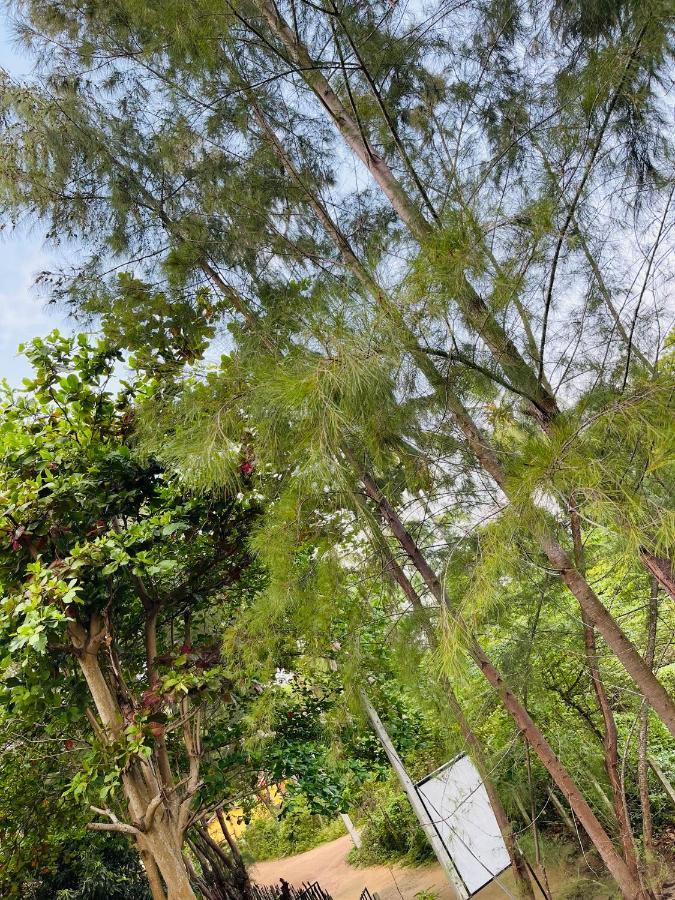 New Roy Guest House Kalkudah (Batticaloa) Exterior foto